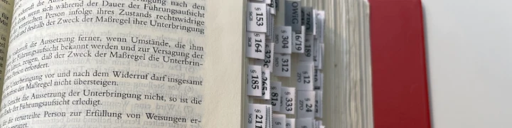 Schmuckgrafik Dürckheim Griffregister